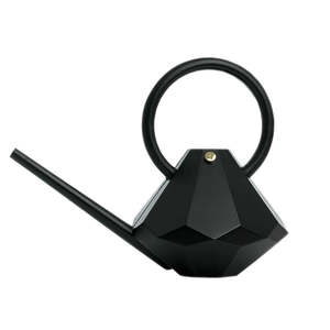 Arrosoir en acier inoxydable massif artisanal avec double poignée en bois, nouveau design, fabricant et fournisseur d'arrosoirs - Product Image 3