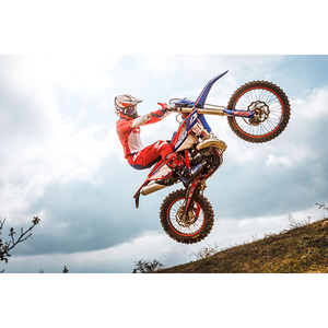 2024 BETAA RR Édition Course 250 - Product Image 4