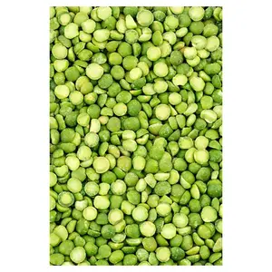Premium Quality Best Price Export green Lentils with Best Price Hot Selling Price Organic Red Lentils / Split Red Lentils in Bul