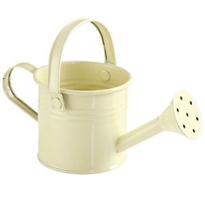 Arrosoir en métal parfait pour les jardiniers amateurs souhaitant une solution d'arrosage décorative et fonctionnelle pour l'entretien quotidien des plantes - Product Image 3