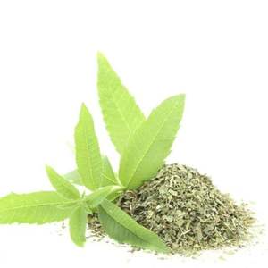 Grandes feuilles de citron exportées de haute qualité - Product Image 4