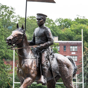 Statue de soldat de buffle en métal laiton bronze décoration de parc sculpture historique à vendre - Product Image 2