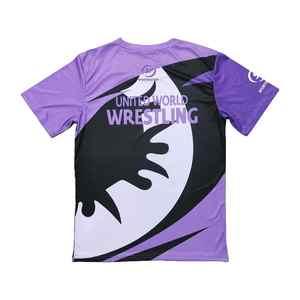 Conjunto de Lucha de Verano 2025 Personalizado para Hombre, Transpirable, de Punto, Camisetas + Pantalones Cortos, Impresión Serigráfica, Conjunto de 2 Piezas, Internacional - Product Image 2