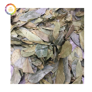 Feuilles de Graviola séchées abordables pour tous vos besoins - Qualité supérieure - Product Image 1