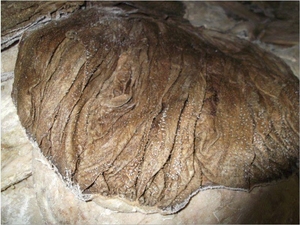 Omasum เนื้อเค็ม - Product Image 4