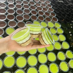 Garniture de pudding aux fruits pour thé au lait et dessert avec texture douce et moelleuse - Product Image 2