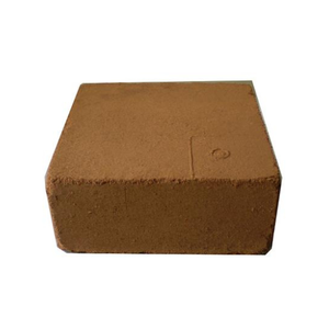 HOP TOP MEILLEUR VENDEUR COCO BOULETTES DE TOURBE DU VIET NAM HAUTE QUALITÉ Vente en gros de blocs de tourbe de noix de coco en vrac pour l'exportation 99 données d'or - Product Image 3