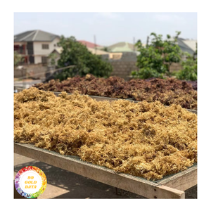 สาหร่ายแห้งจากเวียดนามสีขาว/สีทอง/สีม่วง Eucheuma cottonii สาหร่ายสีม่วงบริสุทธิ์บริสุทธิ์ - Product Image 1