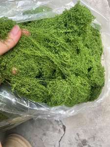 Premium Artificial Moss Grass Mat Dark Green Decorative Faux Moss for Landscaping DIY <b>Wall</b> Decor Bulk Supply - Ms. Tarina - Product Image 5