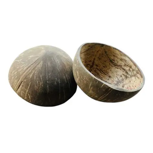 COQUE DE NOIX DE COCO SÉCHÉE DE QUALITÉ SUPÉRIEURE POUR CHARBON DE BOIS ET ARTISANAT - Product Image 6