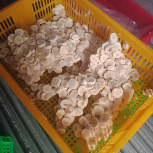 La moitié congelée de la banane entière coupée origine Vietnam meilleur prix et haute qualité vacances - Product Image 1