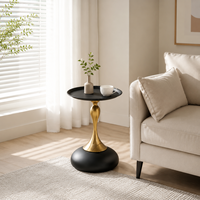 Table basse OKAY, durable, pour salon, style contemporain, luxe, studio, minimaliste moderne, en acier inoxydable, table basse moderne en métal