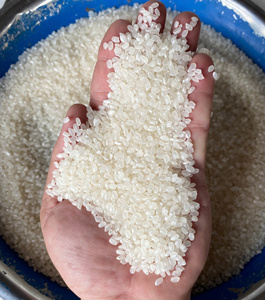 ข้าวบาสมาติกจาปาโมนิกาแบบนุ่มมาตรฐานยุโรปทำอาหารแบบนิ่มสไตล์แห้งปานกลางขายส่ง irisa Contact + 84 - Product Image 6