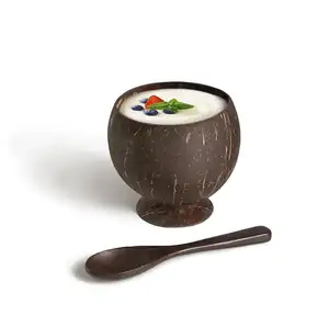 Taza de cáscara de coco para helado, tazón de coco decorativo, creativo, producto de coco, hecho en Vietnam