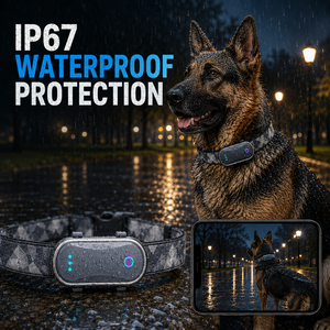 Qcool Localizzatore GPS per Animali Domestici con Contapassi, Recinto Intelligente, Leggero, Durevole, Lunga Durata, Funzionamento Stabile, Collare GPS per Esterni - Product Image 3