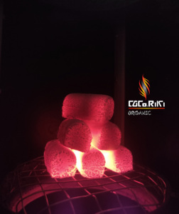 Briquettes de charbon de bois de noix de coco pour narguilé Shisha narguilé en forme de bâton de doigt prix abordable Premium Indonesia Briket - Product Image 2