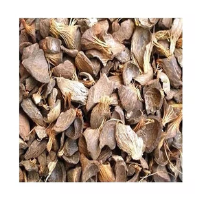 Coquille de palmiste séchée de la meilleure qualité - Product Image 2