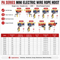 Mini palan électrique à câble PA200-PA1200 100-1200kg 220V Monofilaire/Bifilaire Atelier Entrepôt Vente en gros OEM