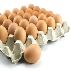 Huevos de pollo de mesa marrones frescos de la mejor calidad Huevos de mesa de pollo frescos baratos Pollo fresco a granel Huevos marrones