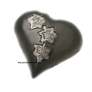 พิธีเผาศพสัตว์เลี้ยงรูปทรงหัวใจทำด้วยมือโกศโลหะอลูมิเนียมสำหรับงานศพ - Product Image 5