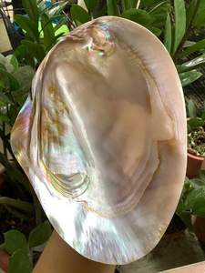 Assiette en nacre faite à la main du Vietnam plat de service décoratif en coquillage pour table à manger et décoration intérieure élégante - Product Image 4