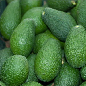 Aguacate Hass Fresco Grande - 11.4 Pulgadas de Delicia para Creaciones Culinarias - Product Image 4