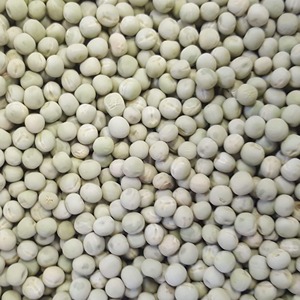 Guisantes secos naturales al por mayor con alto contenido de fibra y proteína, compra de guisantes secos cosechados frescos a granel para comidas saludables - Product Image 4