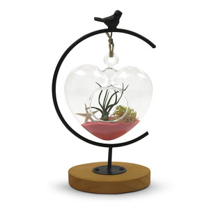HCH1205 - Terrario Pequeño en Forma de Corazón - 5" de Alto - Product Image 2