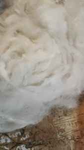 เส้นใยขนแพะธรรมชาติแบบหวี ผลิตตามสั่ง สำหรับร้านขายเส้นด้ายและใยสังเคราะห์ สำหรับผู้ผลิตเส้นด้ายและผู้ทอผ้า - Product Image 4