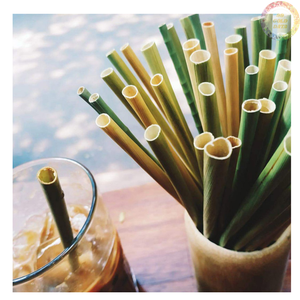 Pajitas de algas marinas orgánicas de alta calidad, respetuosas con el medio ambiente y perfectas para el uso diario - Product Image 1