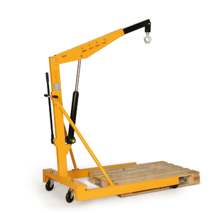 เครน250น้ำหนักบรรทุก1000กก. ดีไซน์หลากหลาย - Product Image 2