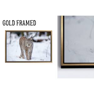 Tableau imprimé sur toile : Lynx élégant dans un paysage hivernal, 1P Goldframedcanvas - Product Image 1