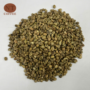Grains de café vert Robusta S18 d'origine vietnamienne, qualité propre, approvisionnement en usine pour les torréfacteurs et les importateurs, meilleur prix compétitif - Product Image 1