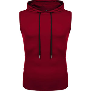 Logo personnalisé OEM 2024 Sweat à capuche sans manches pour homme lourd 100% coton épais et lourd pour l'hiver - Product Image 1