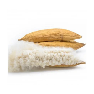 LA MEJOR OPCIÓN PARA USTED PREMIUM KAPOK POD A UN PRECIO RAZONABLE/Sra. Thi - Product Image 1