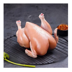 ¡Proveedor Premium al por mayor! Carne procesada Halal de pollo entero congelado Halal - Product Image 2