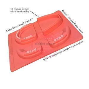 Kit de entrenamiento de sutura Dental profesional Kit de herramientas de tijeras de almohadilla de práctica de sutura - Product Image 3