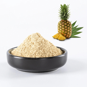 Vente en gros d'ananas poudre de fruit meilleur prix poudre pure d'ananas de qualité supérieure - Product Image 4