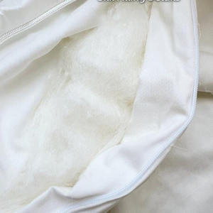 Vente chaude 100% nymphe de ver à soie biologique durable et respirant nourriture d'hôtel couettes en soie congelées du Vietnam - Product Image 3