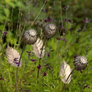 Metal garden floral design stakes perfect for guiding garden layout with floral motifs <b>arranged</b> across <b>outdoor</b> living spaces - Product Image 2