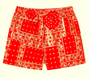 Pantalones cortos de malla personalizados Buker Mesh Short Logotipo personalizado Poliéster Transpirable Hombres 5 pulgadas Entrepierna Deportes Fitness Ropa regular - Product Image 2