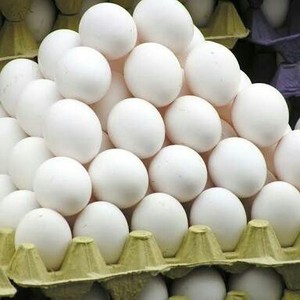 100% Natural <b>Product</b> Farm Fresh Chicken Table <b>Eggs</b>/ Brown and White Shell Chicken <b>Eggs</b> - Product Image 4