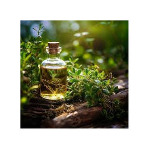 Aceite esencial de tomillo de etiqueta privada, precio al por mayor, aceite para el cabello de tomillo orgánico Natural puro - Product Image 1
