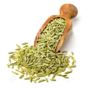 เมล็ดยี่หร่าแห้งธรรมชาติสีเขียวอมน้ำตาล สำหรับยาสมุนไพรและการปรุงอาหาร 1 กิโลกรัม อินเดีย เฮอร์โบจิต อินเตอร์เนชั่นแนล 1 - Product Image 1