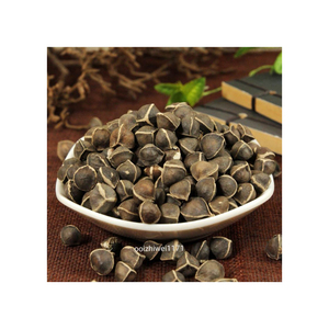 Graines de Moringa pour les acheteurs internationaux avec des prix compétitifs et une livraison fiable - Product Image 3