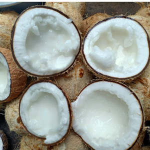 Macapuno noix de coco entière/fruits biologiques en gros du Vietnam - Product Image 5