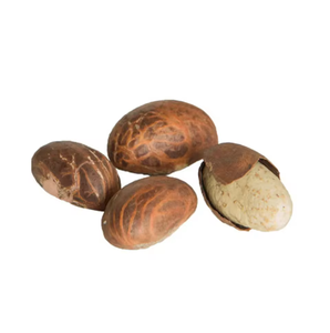 Noix de kola amère biologique à vendre à bon prix au meilleur prix - Product Image 1