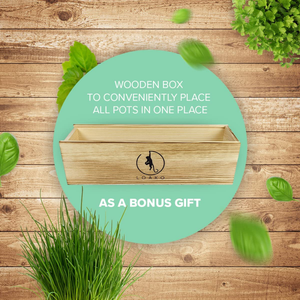 Kit d'étiquette d'herbes pour jardinier et pépinière, tapis personnalisé biologique, <span class=keywords><strong>mini</strong></span> outils pour plantes, pot d'herbes d'<span class=keywords><strong>intérieur</strong></span>, avec marqueurs - Product Image 2