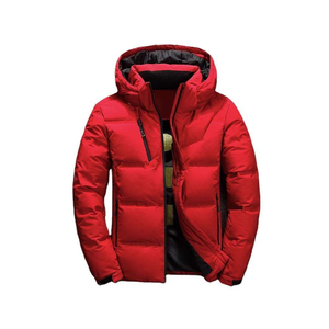 Arrivée 2025, veste d'hiver pour homme de haute qualité, style personnalisé, rembourrage en coton long 700, rembourrage en duvet, service OEM - Product Image 2