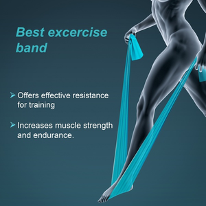 Bandas de Ejercicio Tyroband Personalizadas OEM de 1.4 kg, Bandas de Resistencia Duraderas y Cómodas para Entrenamiento Físico, Venta al Por Mayor - Product Image 3